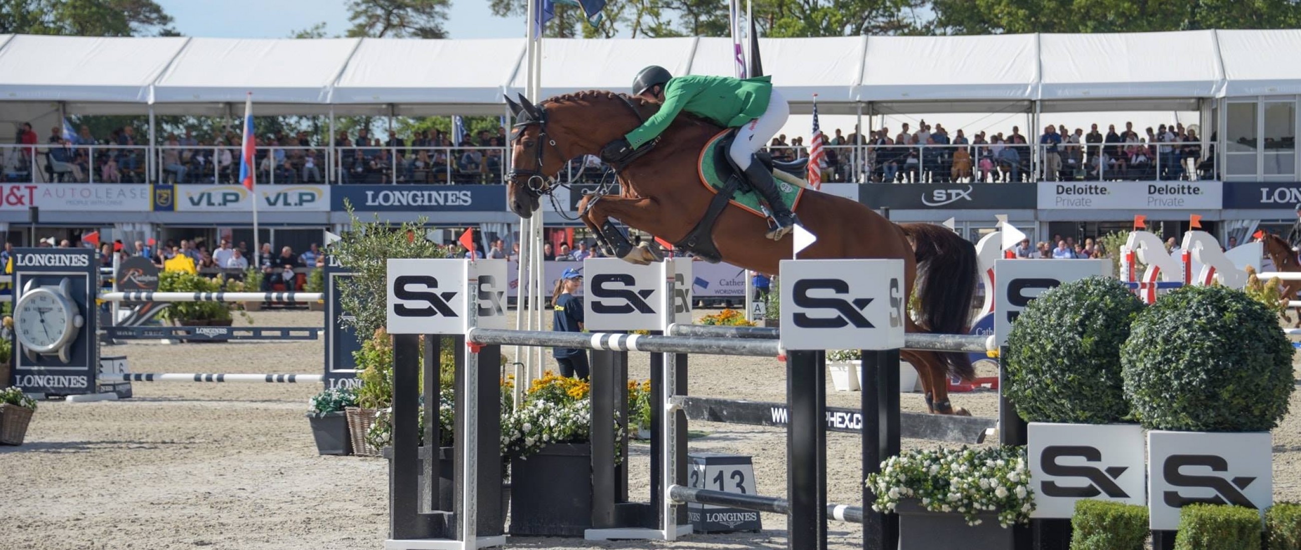New website for V-sporthorses