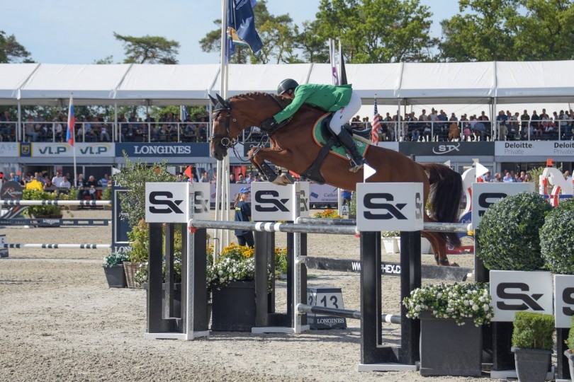 New website for V-sporthorses